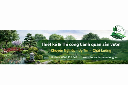 Dự án